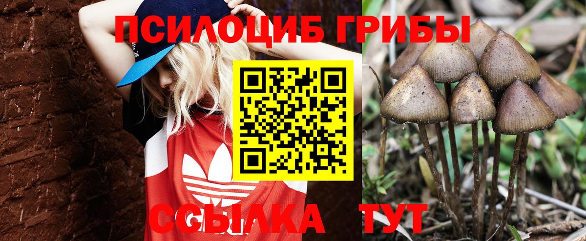 Галлюциногенные грибы мухоморы Карачаевск
