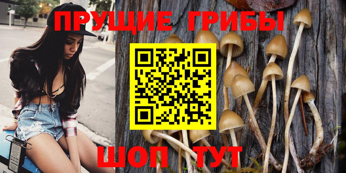 Галлюциногенные грибы MAGIC MUSHROOMS  Вход с VPN  Карачаевск  Псилоцибиновые грибы GOLDEN TEACHER 